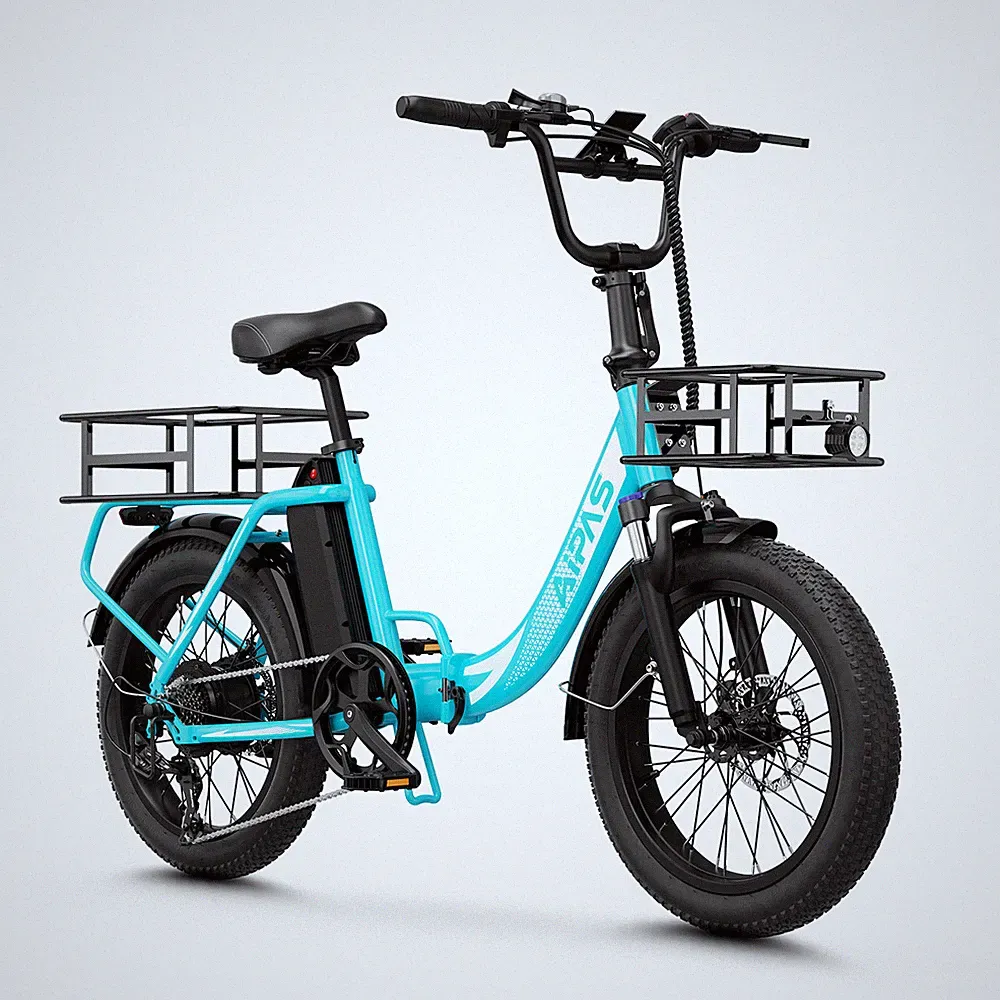 Aipas 20" 1000W FatTire Electric Bike 48V 12.8AH Bicycle Folding Ebike for Adult
