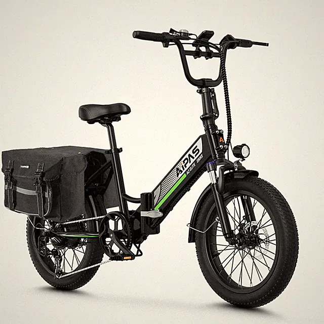 Aipas 20"*3.0 Fat Tire Electric Bicycle for Adult 750W 48V 12.8AH 7-Speed Ebike