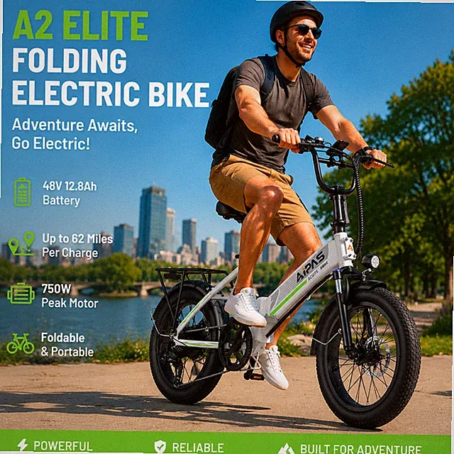 Aipas 20"x3.0 Fat Tire Electric Bike 750W 48V 12.8AH 7-Speed US Adult Commuter